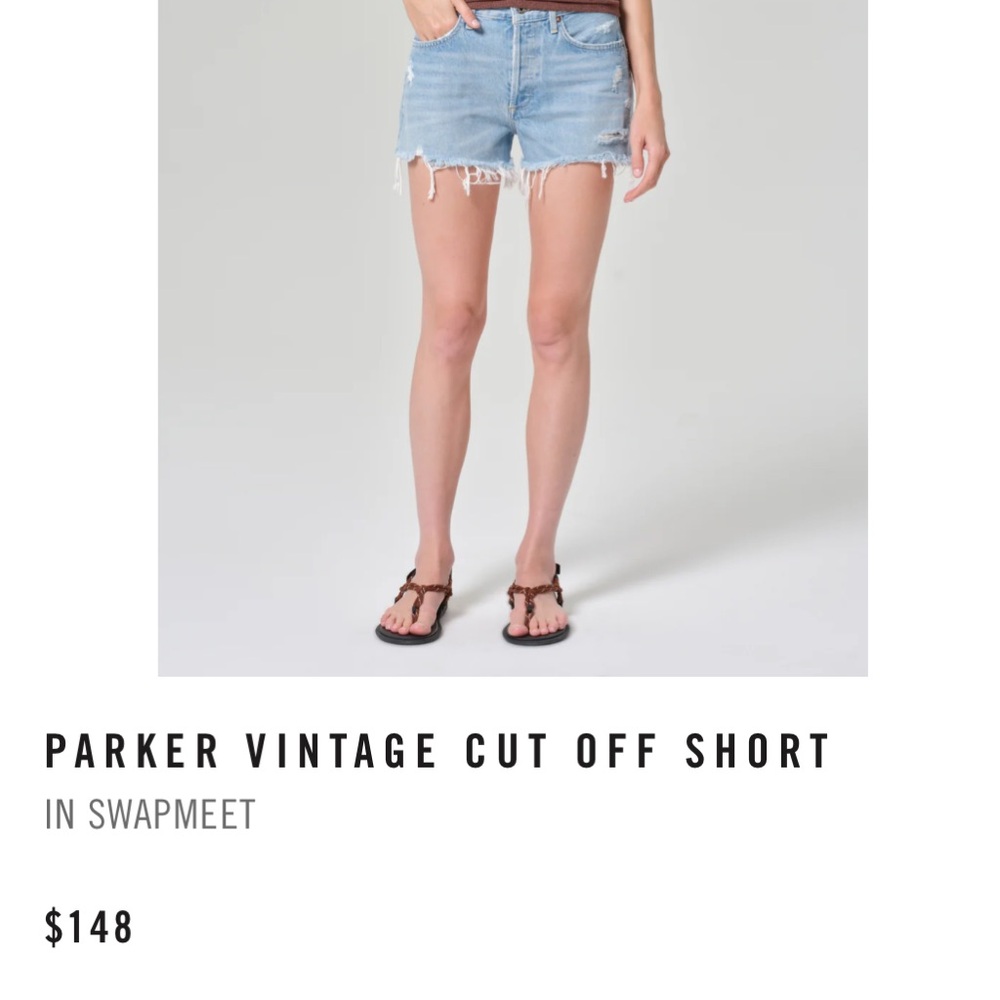 Agolde Parker Vintage Short in Swapmeet